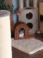 /album/258/whatsapp-image-2026-04-06-at-08-36-14-jpeg/